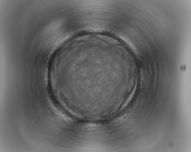 X0000094430494200711291536