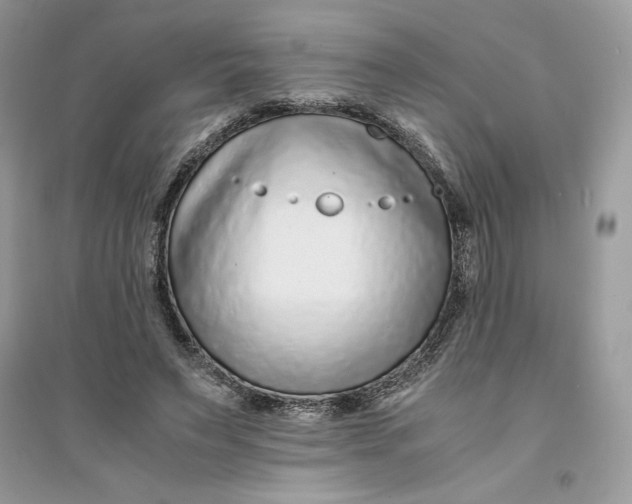 X0000094430495200711291536