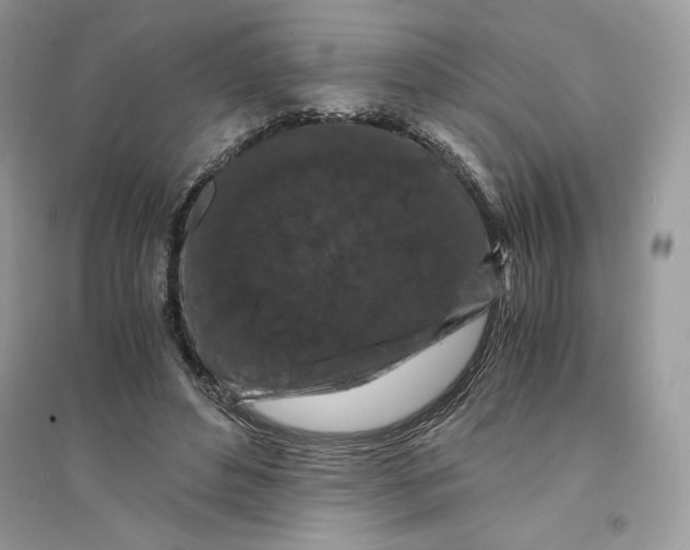 X0000094430496200711291536