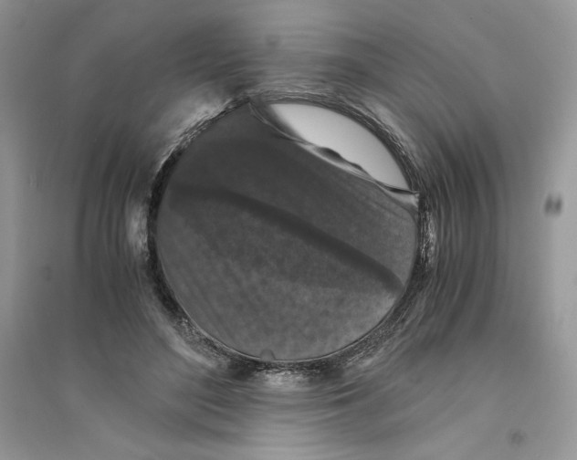 X0000094430500200711291536