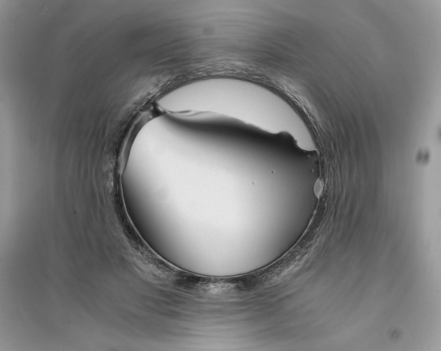 X0000094430501200711291536