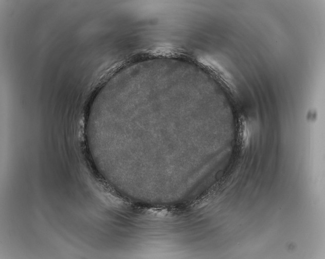 X0000094430502200711291536