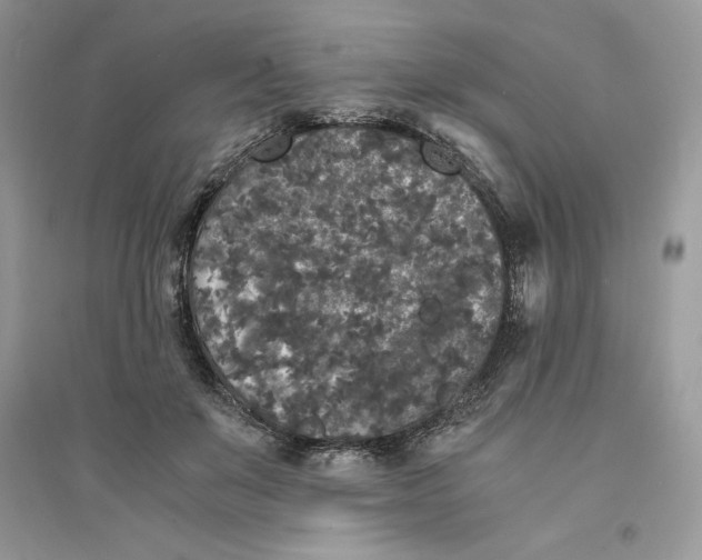 X0000094430503200711291536