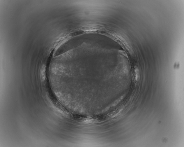 X0000094430504200711291536