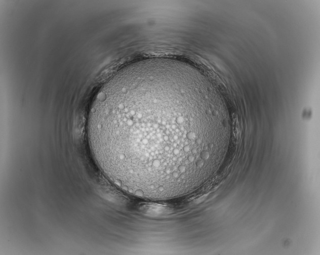 X0000094430507200711291536