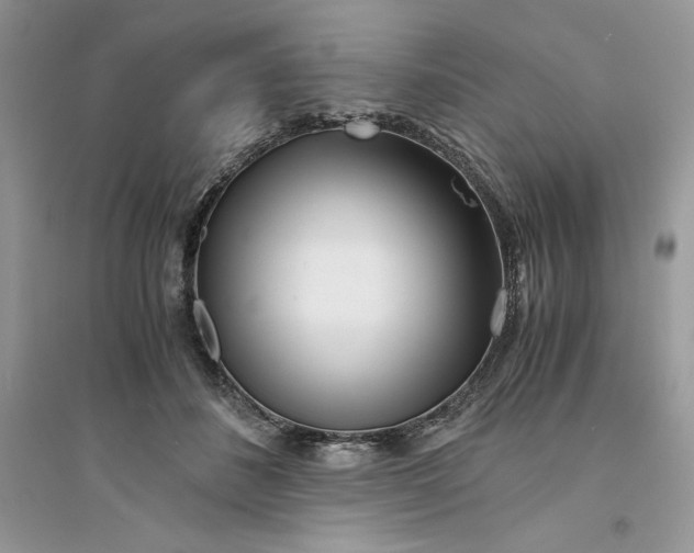 X0000094430508200711291536