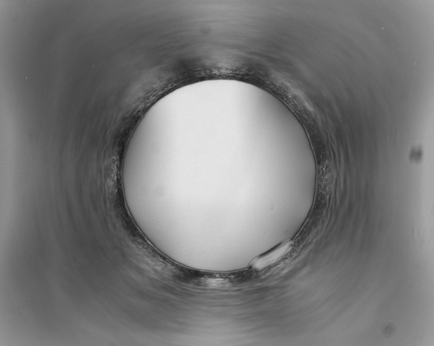 X0000094430509200711291536