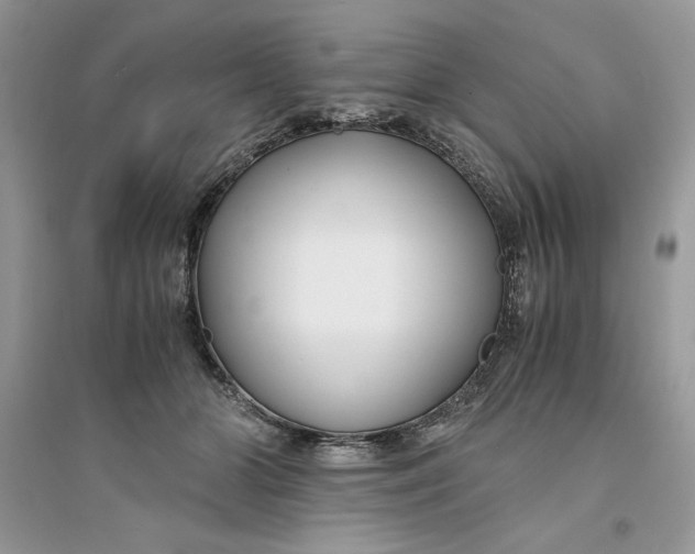 X0000094430510200711291536