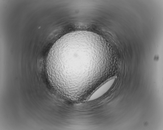 X0000094430511200711291536