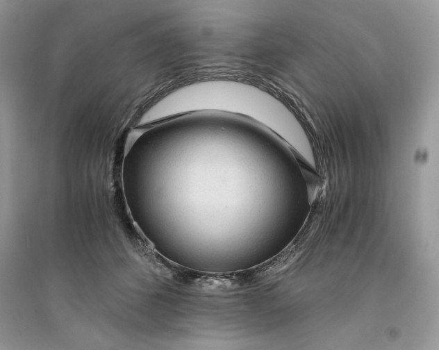 X0000094430512200711291536