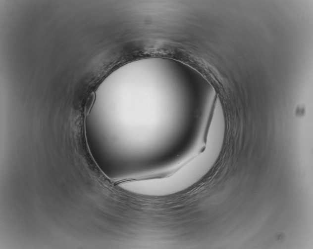 X0000094430513200711291536