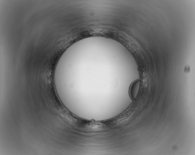 X0000094430514200711291536