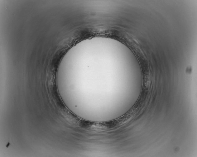 X0000094430515200711291536