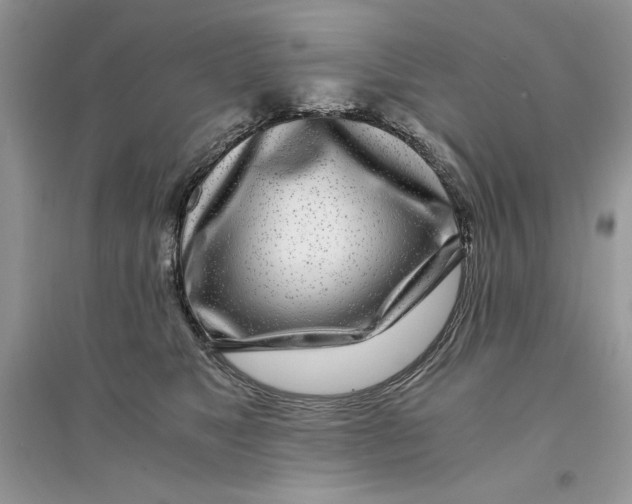 X0000094430517200711291536