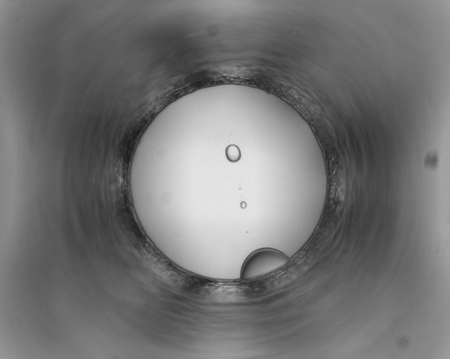 X0000094430518200711291535