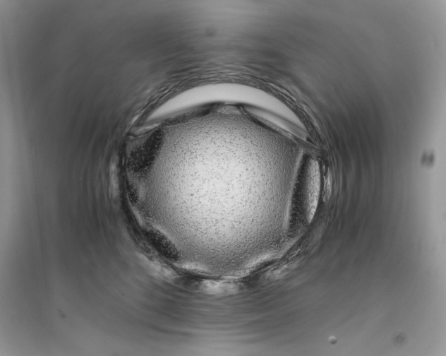 X0000094430520200711291535