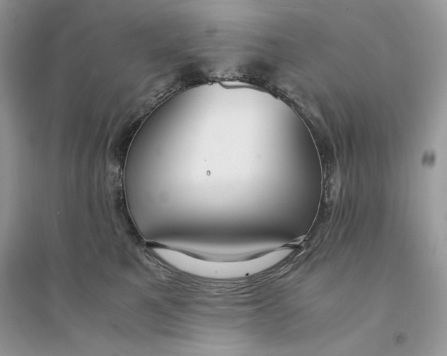 X0000094430521200711291535