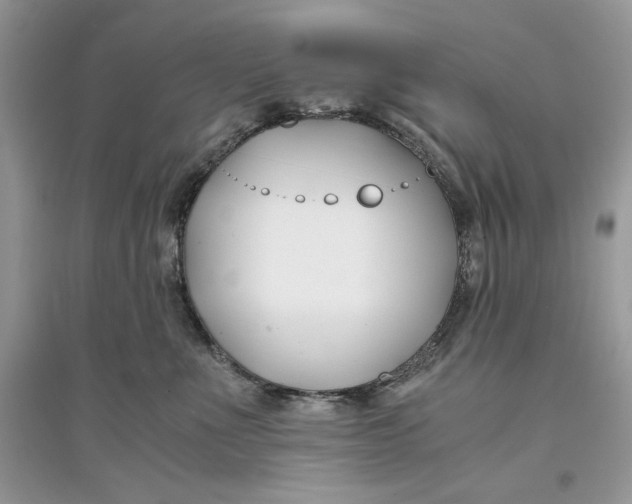 X0000094430523200711291535