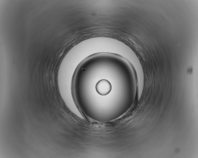 X0000094430524200711291535