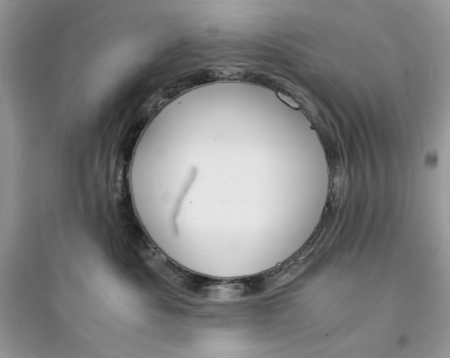 X0000094430525200711291535