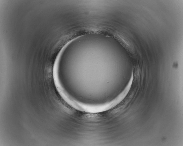 X0000094430526200711291535