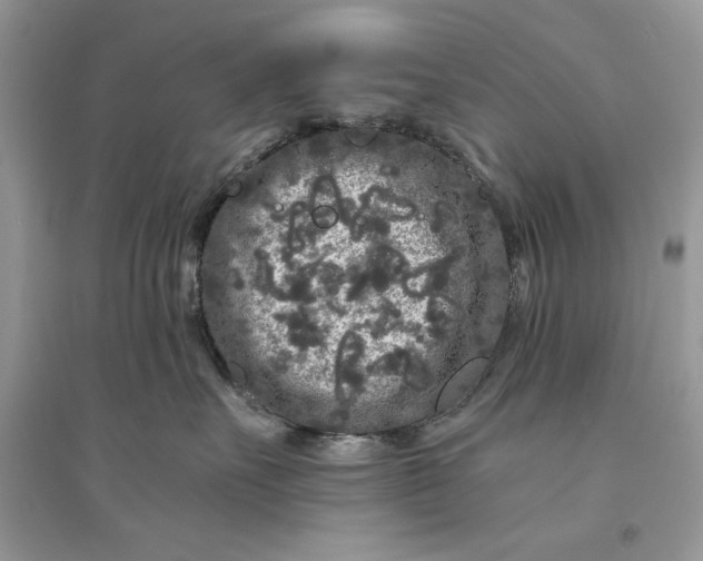 X0000094430527200711291535