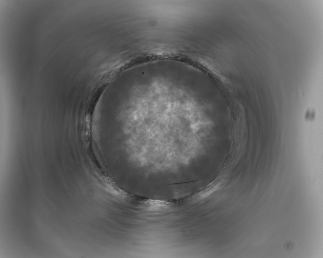 X0000094430528200711291535