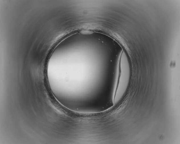 X0000094430530200711291535