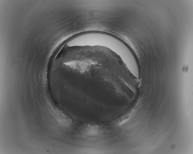 X0000094430531200711291535