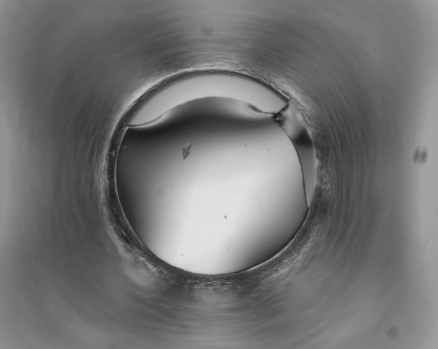 X0000094430532200711291535