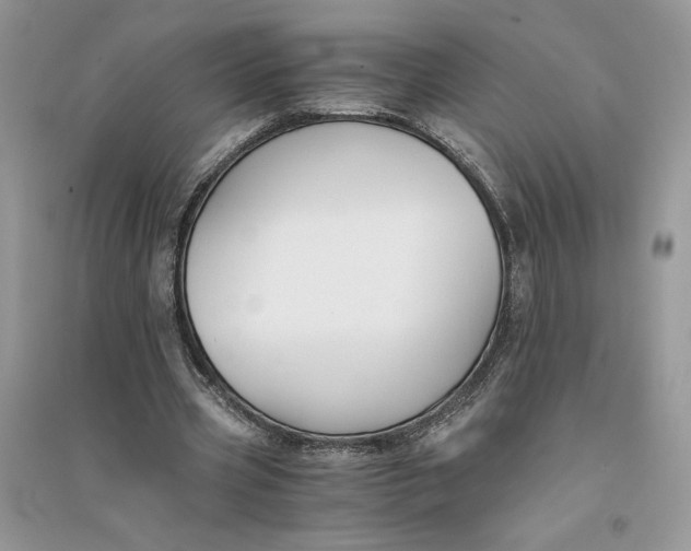 X0000094430533200711291535