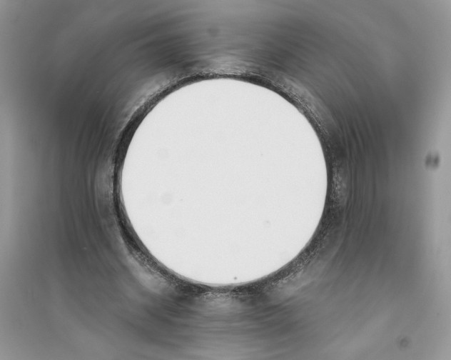 X0000094430534200711291535