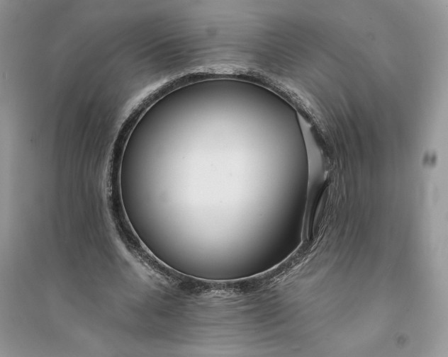 X0000094430536200711291535