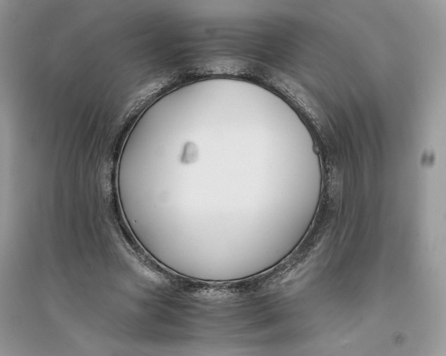 X0000094430537200711291535