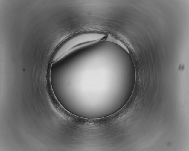 X0000094430538200711291535