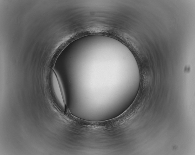 X0000094430539200711291535