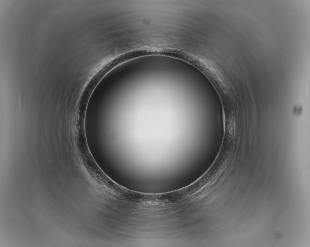 X0000094430540200711291535