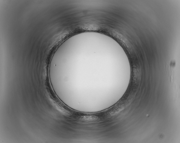 X0000094430541200711291535