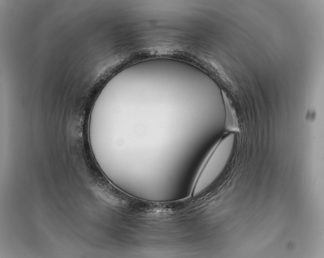 X0000094430543200711291535