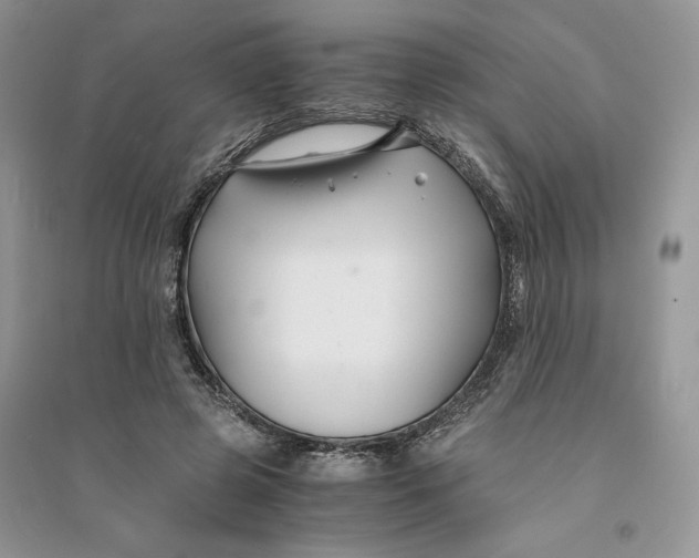 X0000094430545200711291535