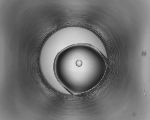 X0000094430546200711291535