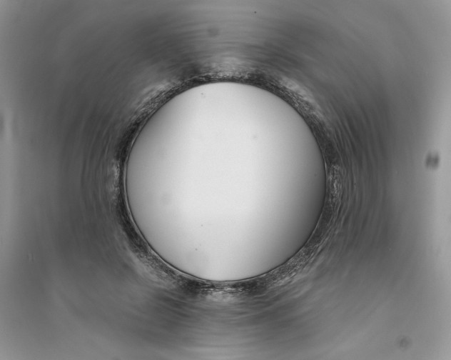 X0000094430550200711291535