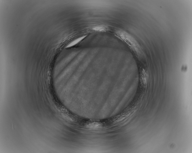 X0000094430551200711291535