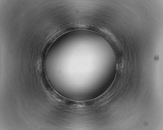 X0000094430552200711291535