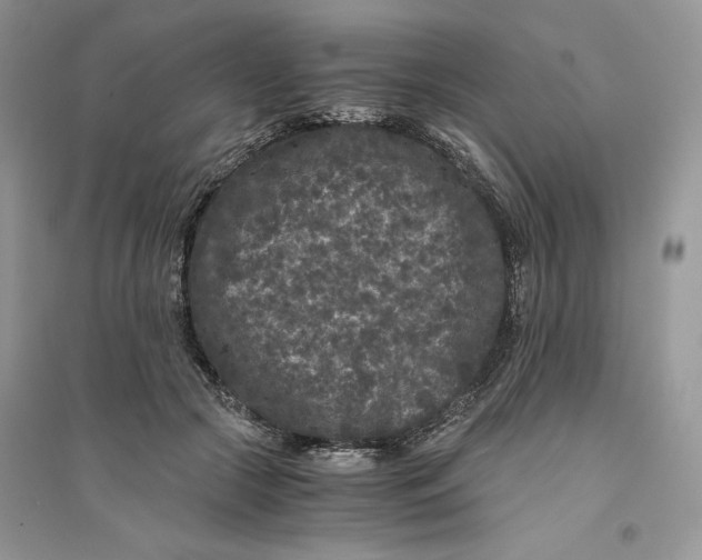 X0000094430553200711291535