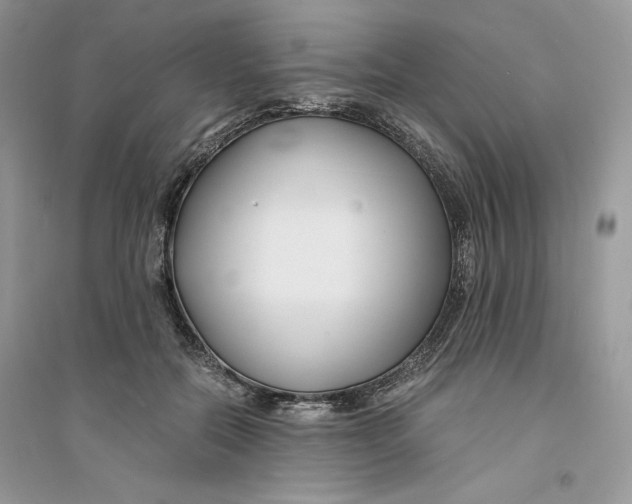 X0000094430554200711291535