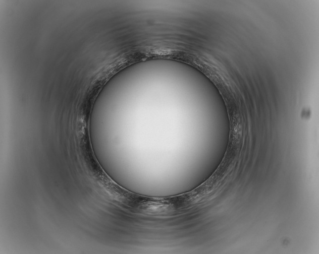 X0000094430555200711291535