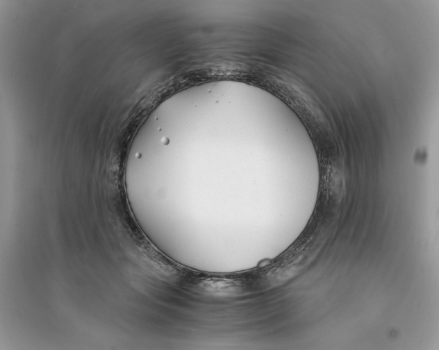 X0000094430557200711291535