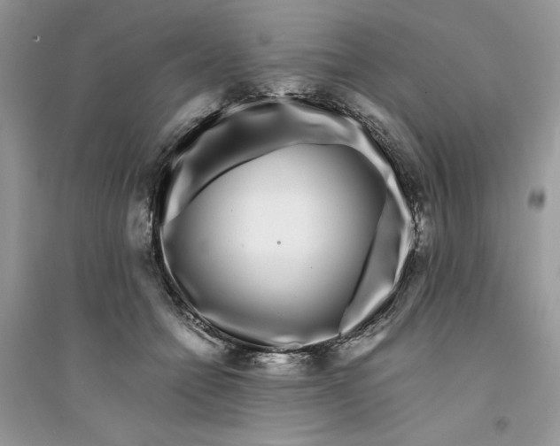 X0000094430558200711291535