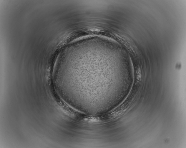 X0000094430559200711291535